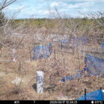 Mar 17 2025 12:34:21, #01