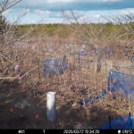 Mar 17 2025 15:34:20, #01