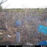 Mar 18 2025  6:34:21, #01