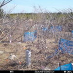 Mar 18 2025  9:34:20, #01