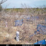 Mar 18 2025 12:34:20, #01