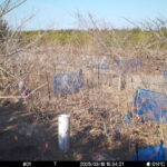 Mar 18 2025 15:34:21, #01