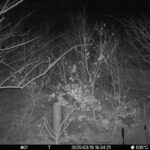 Mar 18 2025 18:34:21, #01