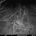 Mar 19 2025  0:34:20, #01