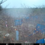 Mar 19 2025  6:34:21, #01