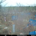 Mar 19 2025  9:34:21, #01