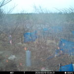 Mar 19 2025 12:34:20, #01