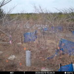 Mar 19 2025 15:34:21, #01