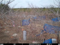 Mar 19 2025 15:34:21, #01