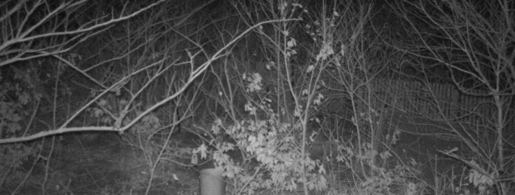 Mar 19 2025 18:34:21, #01