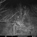 Mar 19 2025 18:34:21, #01