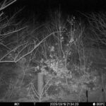 Mar 19 2025 21:34:20, #01