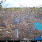Mar 20 2025  6:34:20, #01