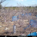 Mar 20 2025  9:34:21, #01