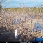 Mar 20 2025 15:34:21, #01