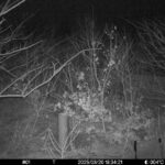 Mar 20 2025 18:34:21, #01