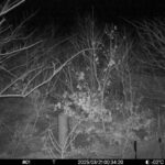Mar 21 2025  0:34:20, #01