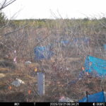 Mar 21 2025  6:34:21, #01