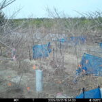 Mar 21 2025 15:34:20, #01