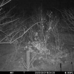 Mar 21 2025 18:34:20, #01