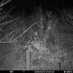 Mar 21 2025 21:34:20, #01