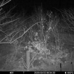 Mar 22 2025  0:34:20, #01