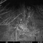 Mar 22 2025  3:34:20, #01