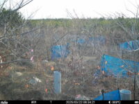 Mar 22 2025  6:34:21, #01
