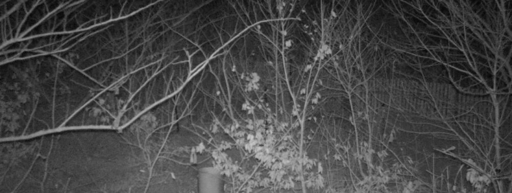 Mar 23 2025  0:34:20, #01