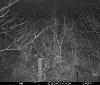 Apr 3 2025 18:34:20, #01