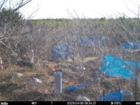 Apr 5 2025  6:34:21, #01