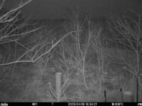 Apr 5 2025 18:34:21, #01