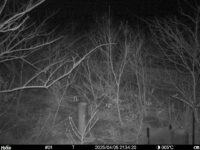 Apr 5 2025 21:34:20, #01
