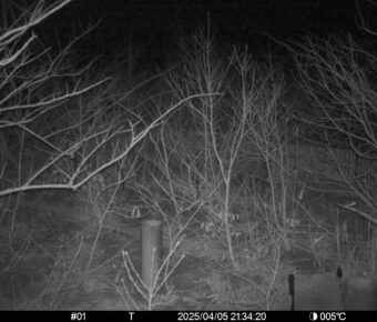 Apr 5 2025 21:34:20, #01