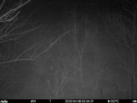 Apr 6 2025  3:34:21, #01