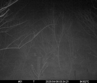 Apr 6 2025  3:34:21, #01