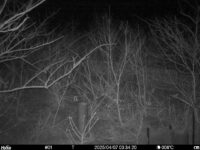 Apr 7 2025  3:34:20, #01