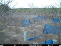 Apr 7 2025 15:34:20, #01