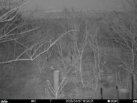 Apr 7 2025 18:34:20, #01