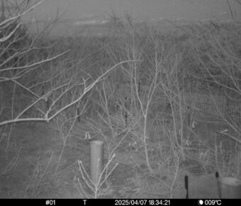 Apr 7 2025 18:34:20, #01