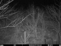 Apr 7 2025 21:34:20, #01