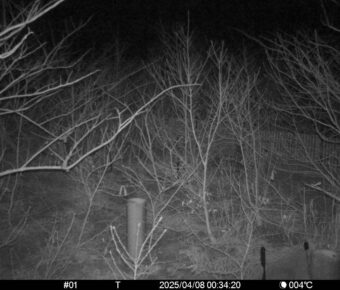 Apr 8 2025  0:34:20, #01