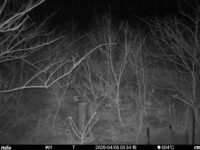 Apr 8 2025  3:34:19, #01