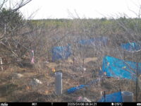 Apr 8 2025  6:34:21, #01