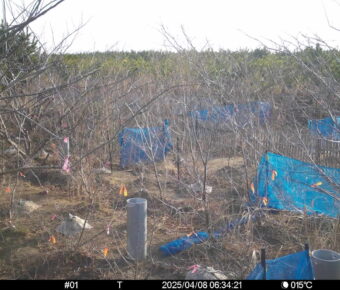 Apr 8 2025  6:34:21, #01