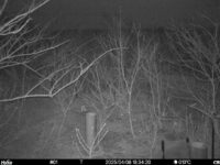 Apr 8 2025 18:34:20, #01