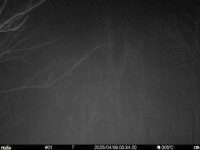 Apr 9 2025  0:34:20, #01