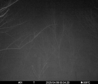 Apr 9 2025  0:34:20, #01