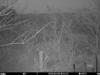 Apr 9 2025 18:34:21, #01