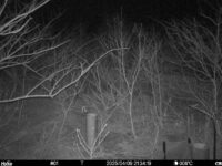 Apr 9 2025 21:34:19, #01